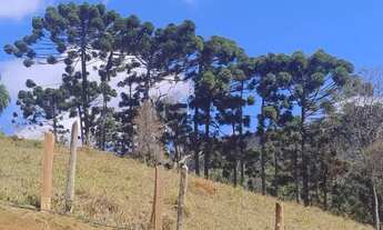 Imagem 2: Terreno Gonçalves/MG com vista Pedra do Baú