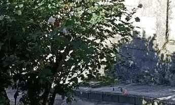 Imagem 7: Casa em Rua Tucuman - São Geraldo - Belo Horizonte/MG