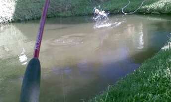 Imagem 5: Sitio em Atibaia Carnaval Disponível