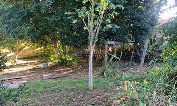 Imagem 4: Terreno - Chácara Primavera - Campinas