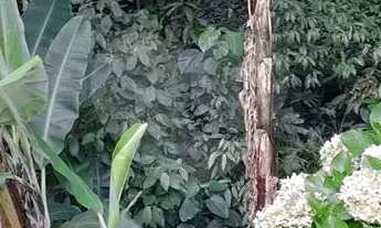 Imagem 5: Terreno à venda em Roseira - SP