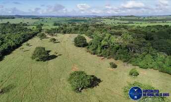 Imagem 3: Fazenda à Venda em Anicuns GO | 34 Alqueires | 28 em Lavoura