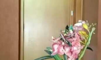 Imagem 2: Excelente Apto no Rio Branco!