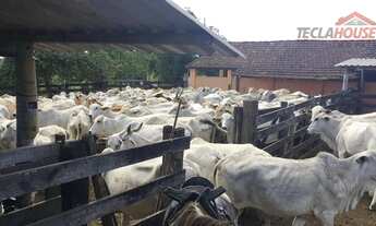 Imagem 7: Fazenda com 3 dormitórios à venda, 520000 m² por R$ 9.300.000 - Fazendinha - Araruama/RJ