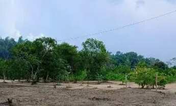 Imagem 7: Terreno 20x95 com entrada+ parcelas , km 26 pro do 3 irmãos