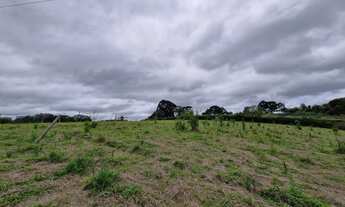 Imagem 3: Terreno de 1000 metros, 20 de frente por 50 comprimento, vendo ou troco