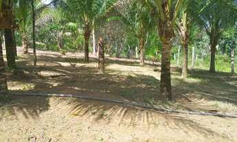 Imagem 3: Sítio com casa Chácara com venda por R$1.400