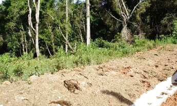 Imagem 3: Lote em Campos do Jordão - Vila Abernéssia - Campos do Jordão/SP