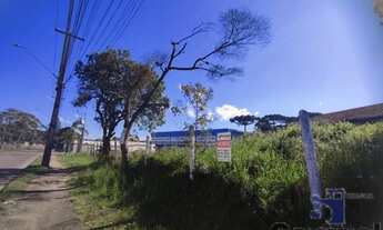 Imagem: ÁREA QUISSISSANA / COSTEIRA SÃO JOSÉ