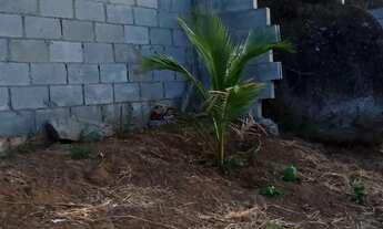 Imagem 5: Terreno pronto pra chácara