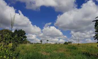 Imagem 2: Chácara com 7mil metros² em terreno