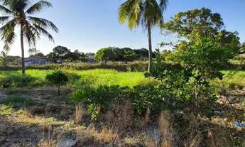 Imagem 5: Terreno de 1.600,00m2, povoado Céu, Praia do Peba, Piaçabuçu, Alagoas