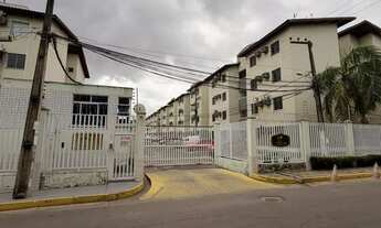 Imagem: ANA20 PALMEIRAS 4