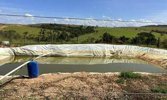 Imagem 5: Vendo Lindo Sítio em Girassol