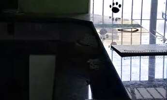 Imagem 7: COMERCIAL - VILA BUTANTÃ - SP