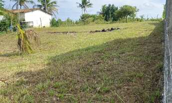 Imagem 5: Vendo terreno lote em Salgado