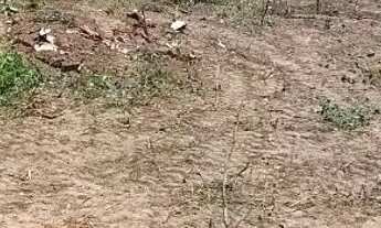 Imagem: Terreno Vianópolis