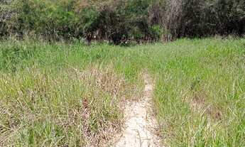 Imagem: MATEUS LEME - STA CRUZ