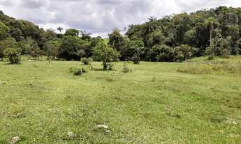 Imagem: Lindo terreno para sítio com água corrente