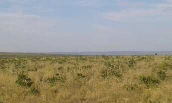 Imagem 4: Fazenda em Almas-TO. 28 mil por alqueire