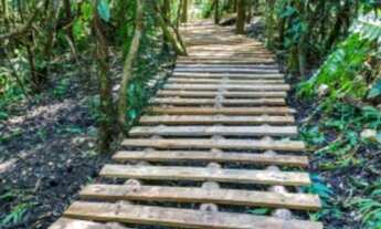 Imagem 5: OPORTUNIDADE COM PROPRIETÁRIO, FRENTE LAGO COM VISTA DEFINITIVA!!! NINHO VERDE2