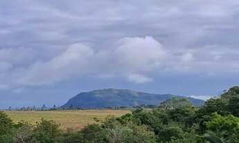 Imagem 3: Excelente sítio 4,7 hectares com eterna vista em Viamão, troca apartamento