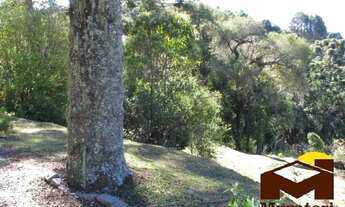 Imagem 6: Chácara com nascentes dentro da cidade