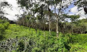 Imagem: LOTES ENTRE MULUNGU E GUARAMIRANGA