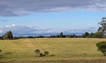 Imagem: Excelente sítio 4,7 hectares com eterna
