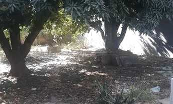 Imagem 7: Casa 2 qts parque veiga jardim IV avenida veiga valle