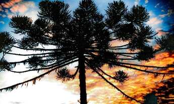 Imagem 5: Casa de campo em Painel SC