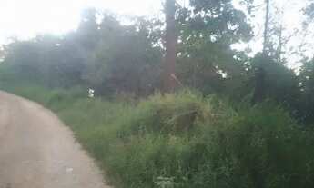 Imagem 6: Área a venda Campo Novo- Campo Magro