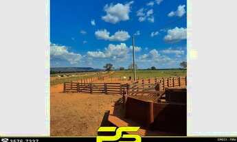 Imagem 4: Fazenda à Venda, 4.095 Alqueires Por R$ 240.000.000 - Ouro - Barra do Ouro/to