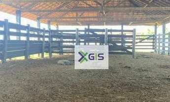 Imagem 5: Sítio com 8 dormitórios à venda, 508200 m² por R$ 5.500.000,00 - Ubarana - Ubarana/SP