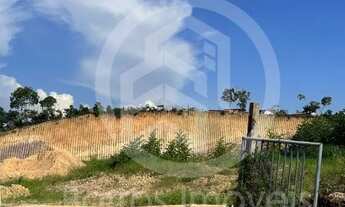 Imagem 3: Terreno com 172.000 M² com Toda Documentação - Manaus - AM