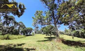 Imagem 6: Chácara com 3 dormitórios à venda, 78000 m² por R$ 495.000,00 - Centro - Juquitiba/SP