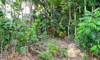 Imagem 3: Lote no Alphaville 1 Super Plano 547m²