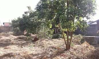 Imagem 2: Terreno - Bosque das Palmeiras - Campinas