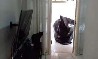 Imagem 7: Linda Casa! Casa com 2 dormitórios