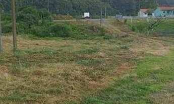 Imagem 7: Chácara com casa de 3 dormitórios à venda, 14700 m² por R$ 530.000 - Santa Tereza - Urubic