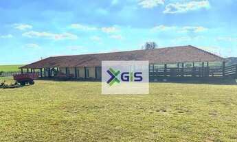 Imagem 2: Sítio com 8 dormitórios à venda, 508200 m² por R$ 5.500.000,00 - Ubarana - Ubarana/SP