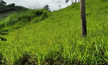 Imagem 4: Terreno perfeito para sua chácara em Mairique no bairro das moreiras