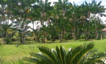 Imagem 3: Casa/Sítio Benevides em Residencial - Venda