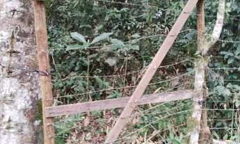 Imagem 7: Aluga Chalé junto a natureza 10 km de Curitiba