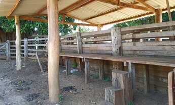 Imagem 2: Fazenda para Venda em Centro Paranaíba-MS - 3097