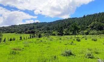 Imagem: Chácara à venda, 140000 m² por R$ 500.000,00