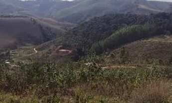 Imagem 4: Terreno Rural Escriturado de 20.000m2 para Venda em Domingos Martins / ES