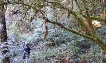 Imagem 6: Chácara com casa de 3 dormitórios à venda, 14700 m² por R$ 530.000 - Santa Tereza - Urubic