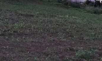 Imagem 6: Chacara meio da natureza