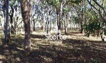 Imagem 4: Chácara à venda, 20.518,37m² (2,05 ha) por R$ 250.000 - Sentido Indianópolis/MG